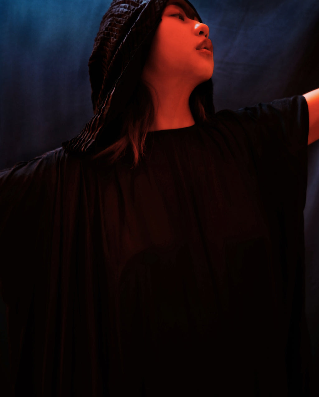 Hlin Drape Dress