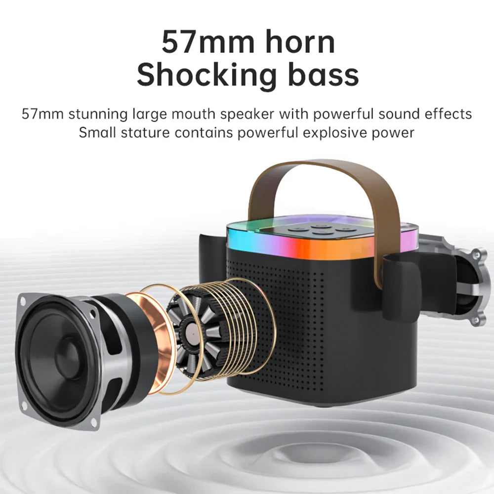 NNEOBA Portable Bluetooth Karaoke Speaker System with Microphones