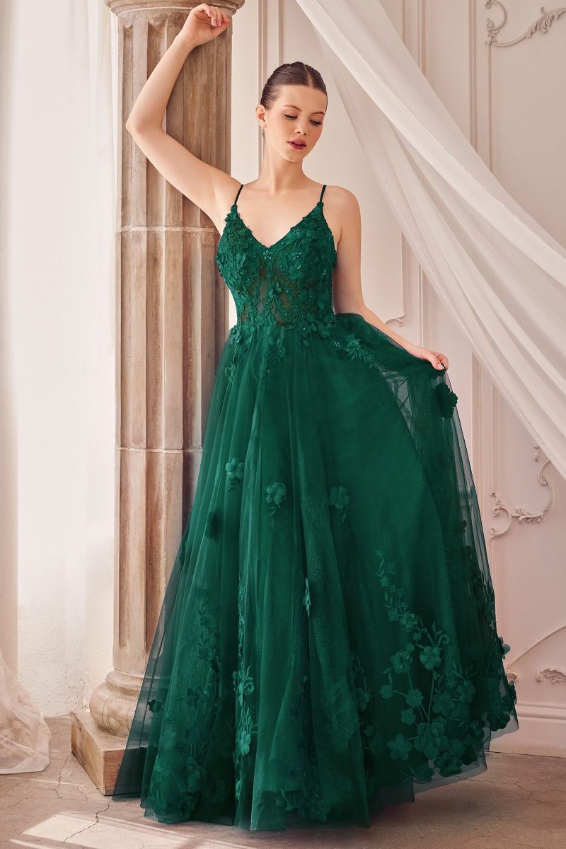 Tulle A-Line Floral Appliqued Gown